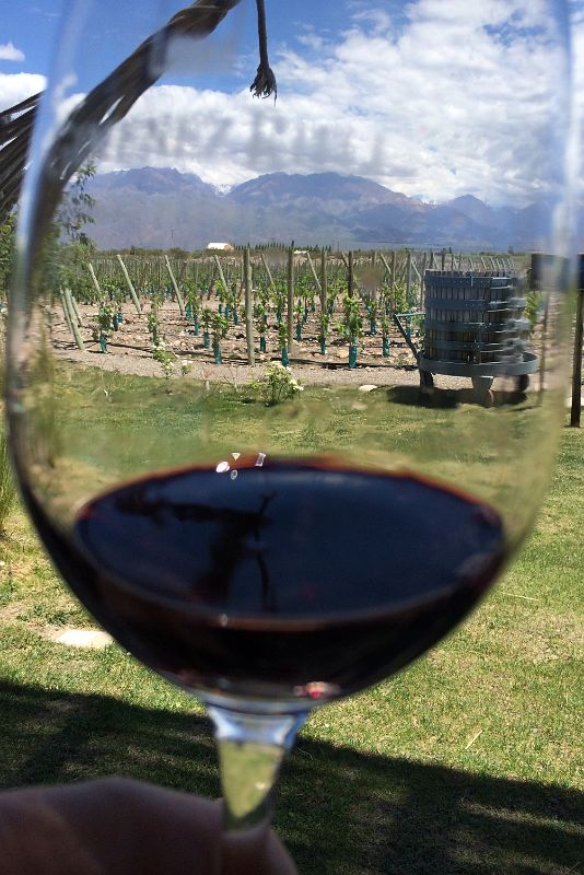 05-17 Wine Tasting At Gimenez Rilli On The Uco Valley Wine Tour Mendoza